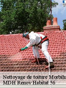 Nettoyage de toiture Morbihan 