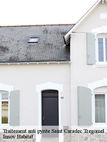 Traitement anti pyrite  56540