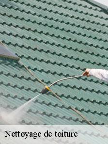 Nettoyage de toiture  56410