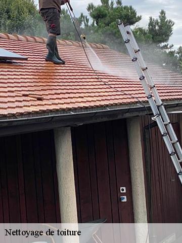 Nettoyage de toiture 56220