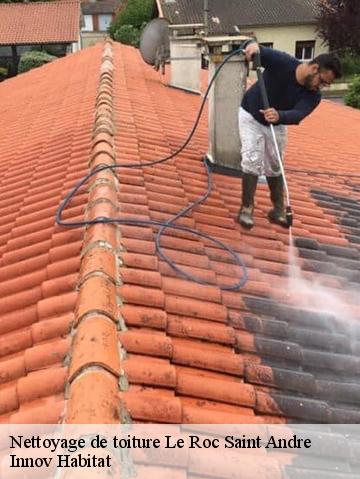 Nettoyage de toiture 56460