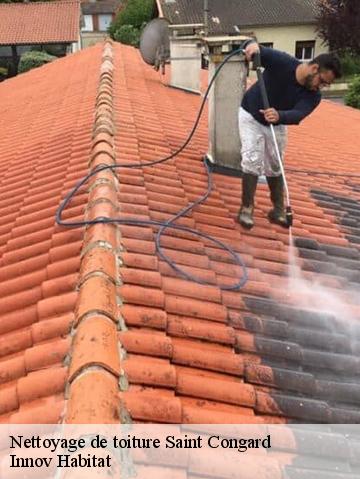 Nettoyage de toiture  56140