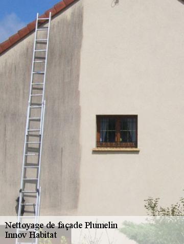 Nettoyage de façade  56500