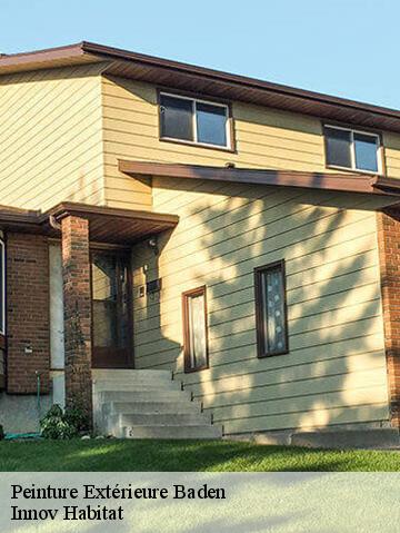 Peinture Extérieure  56870