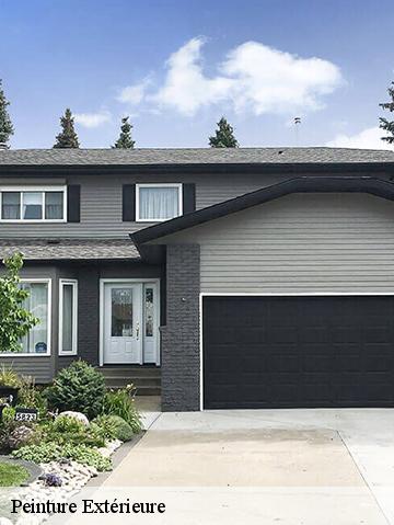 Peinture Extérieure 56570