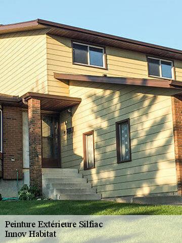 Peinture Extérieure  56480