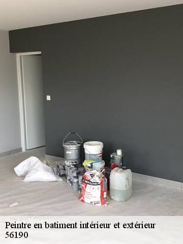 Peintre en batiment intérieur et extérieur  56190