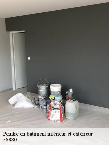 Peintre en batiment intérieur et extérieur  56880