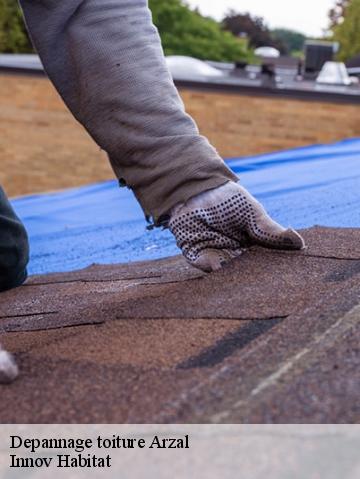 Depannage toiture 56190