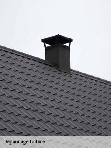 Depannage toiture  56800
