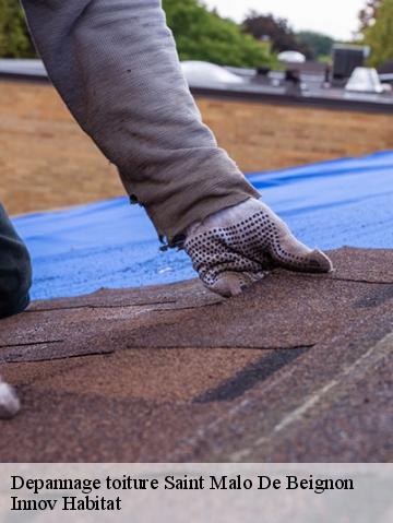 Depannage toiture  56380