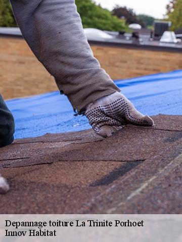 Depannage toiture  56710