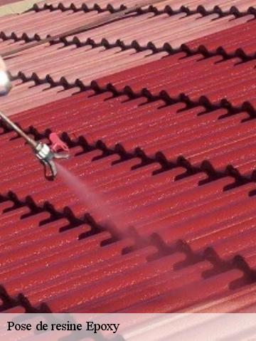 Pose de resine Epoxy  56690