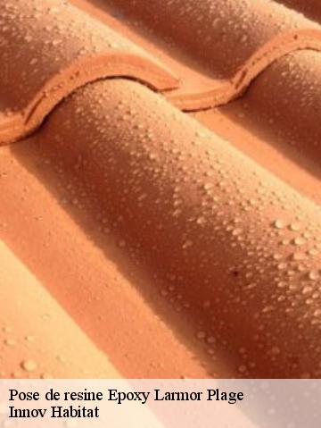 Pose de resine Epoxy  56260