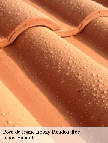 Pose de resine Epoxy 56110